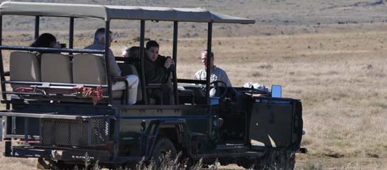 A game drive at Samara game reserve // © 2011 South African Tourism F